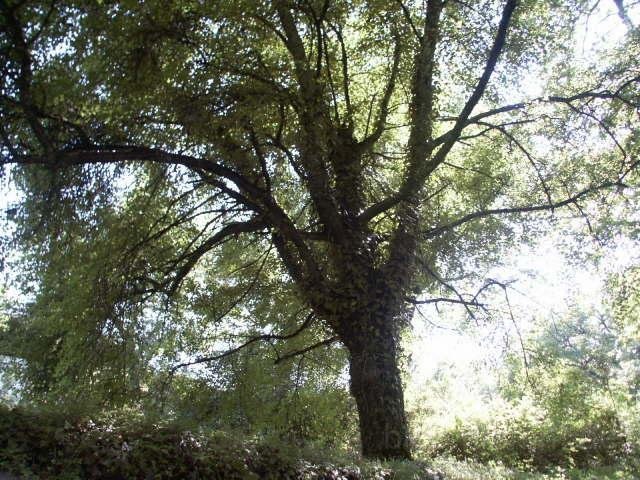 Frankreich_2003 (33).jpg