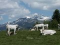 Frankreich_2003 (38)