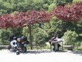 Frankreich_2003 (47)
