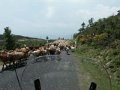 Frankreich_2003 (49)