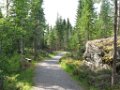 Norwegen 2008 -  (59)