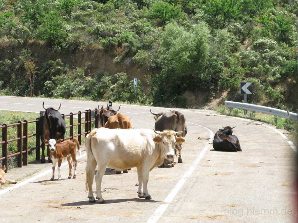 Dadestal (13 von 66).jpg - Sardinien 2011